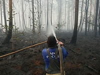 Ландшафтный пожар возле Туринского потушили