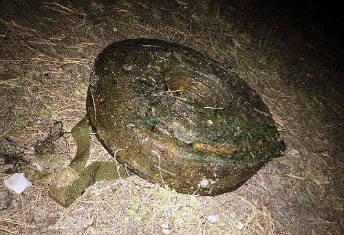 Неподалеку от Андреевского озера тюменец нашел мину