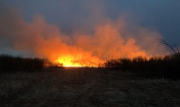 В Тюмени возле Гагаринского парка горит сухостой