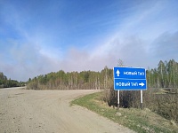 Тушили огонь всем Тапом: поселок в Юргинском районе едва не сгорел от лесного пожара