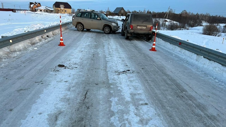 Пьяная дама с собачкой устроила ДТП в Зырянке