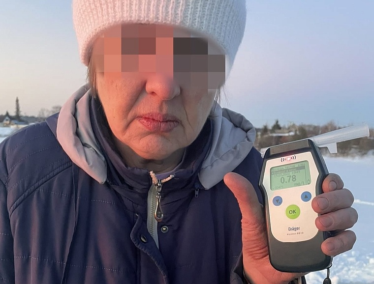 Пьяная дама с собачкой устроила ДТП в Зырянке