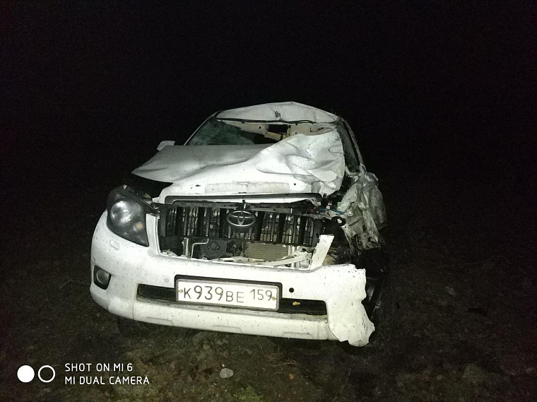 Фото: пресс-служба ГИБДД Тюменской области