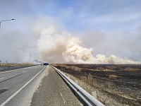 В Тюменском районе тушат два крупных ландшафтных пожара