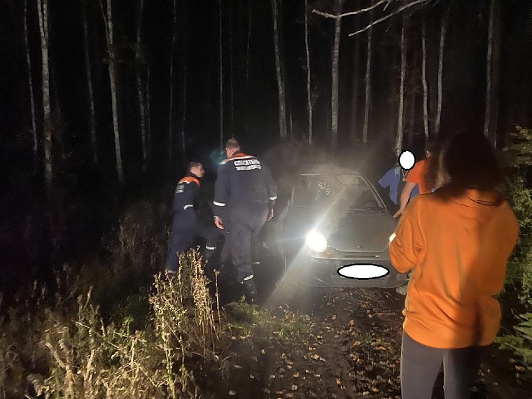 В тюменском лесу нашли заблудившихся и застрявших на машине грибников