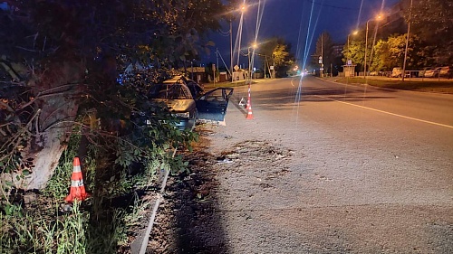 В Тюмени пьяный водитель из Курганской области, скрываясь от ДПС, врезался в тополь