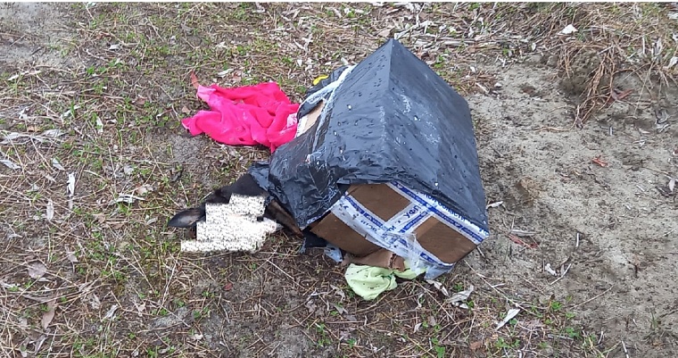 В Надыме мертвого добермана упаковали в коробку и бросили на трассе