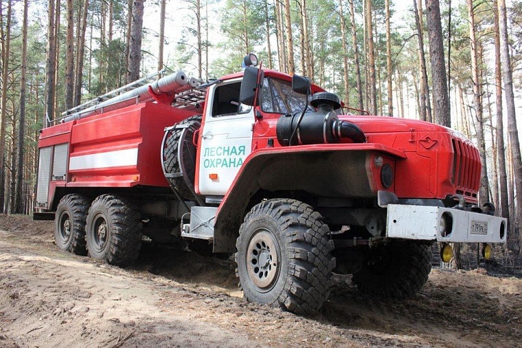 В Тюменской области с начала сезона уже зафиксировано 74 природных пожара