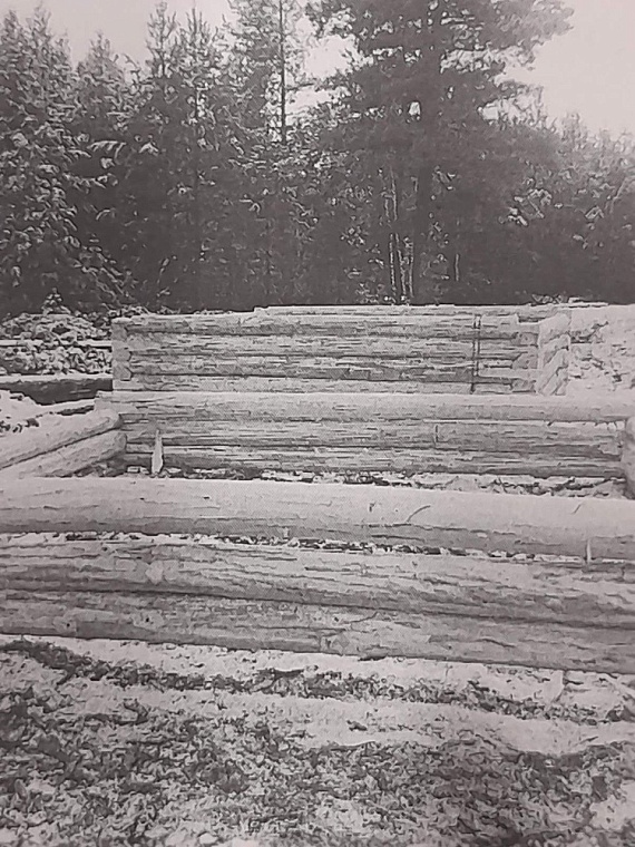 В Вагайском районе черный лесоруб рубил сосны себе на баню