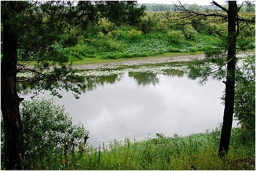 Два молодых парня утонули за сутки в Тюменской области
