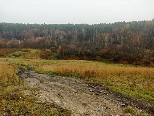 В Новосибирской области 19-летнюю девушку нашли убитой через месяц после исчезновения