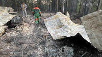 На Ямале при тушении лесного пожара обнаружены два обгоревших тела