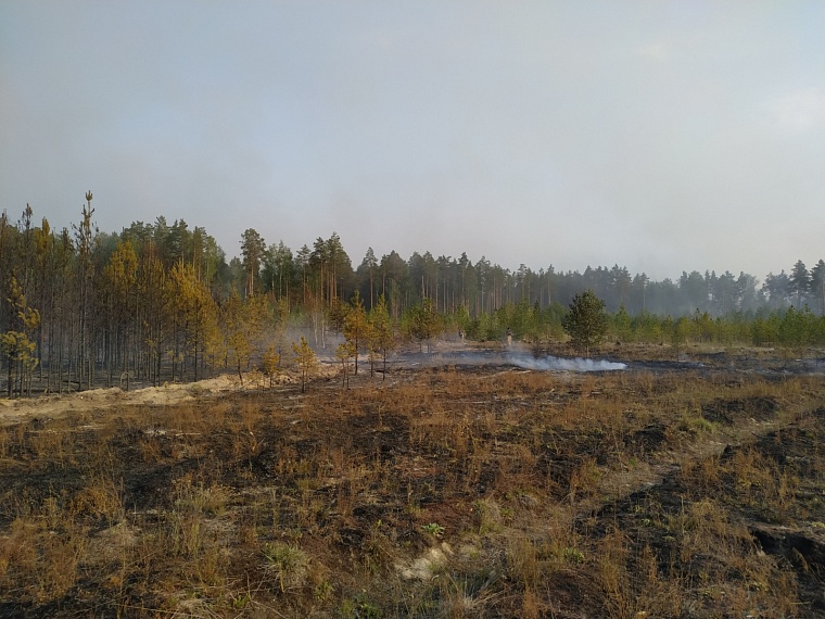 Пожарный вертолет Ми-8 тушил пожар под Тюменью, зачерпывая воду на диком пляже