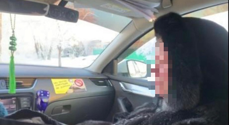 На Щербакова в Тюмени пьяная женщина снесла автобусную остановку