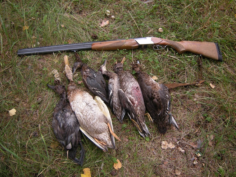 Тюменского охотника суд лишил права на охоту за... пьяную езду