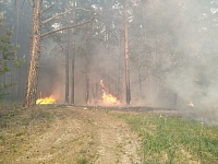 В тюменских лесах объявлена чрезвычайная степень пожарной опасности