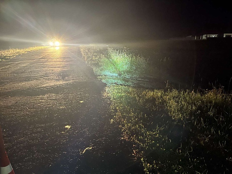 На ночной дороге в тюменском селе водитель сбил 16-летнюю девушку