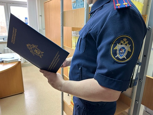 Александр Бастрыкин потребовал повторной возбудить уголовное дело после избиений в Тюмени сына участника СВО