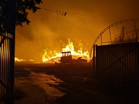 Огонь пытались остановить еще в лесу: подробности пожара в Успенке