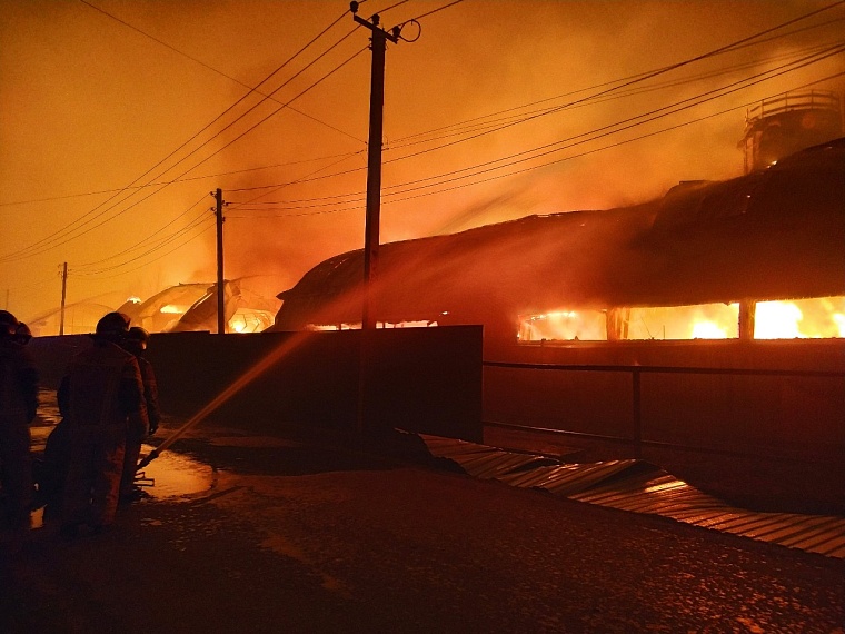 Огонь пытались остановить еще в лесу: подробности пожара в Успенке