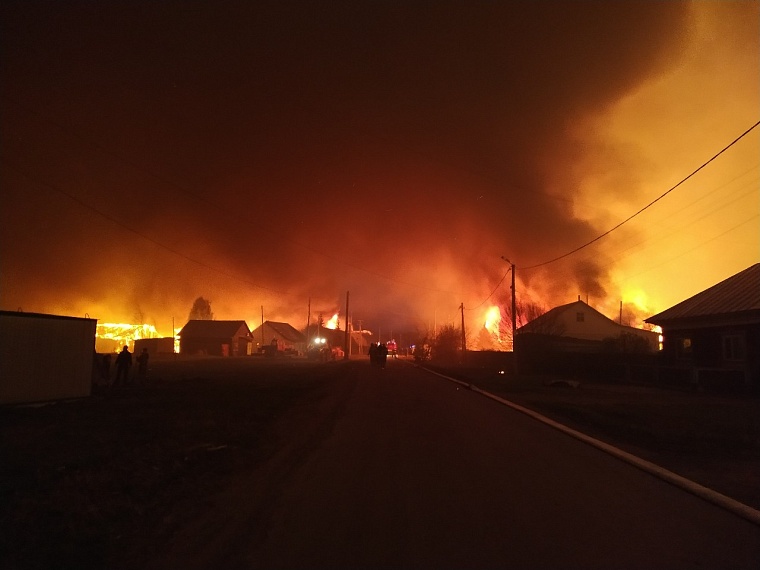 Огонь пытались остановить еще в лесу: подробности пожара в Успенке