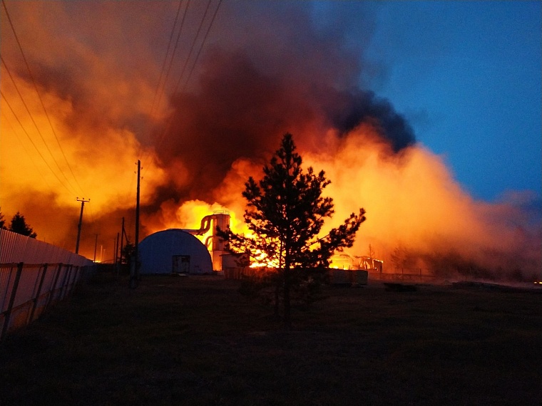 Огонь пытались остановить еще в лесу: подробности пожара в Успенке