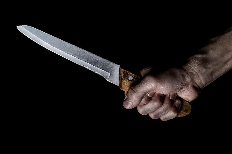 В центре Тюмени мужчина с ножом и собакой напал на пьяную компанию