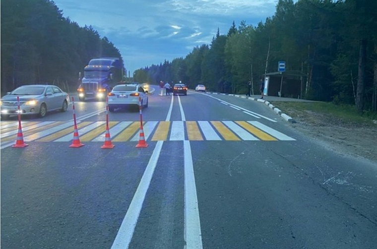 Водитель "Киа" насмерть сбил пешехода в Тобольском районе и скрылся в лесах