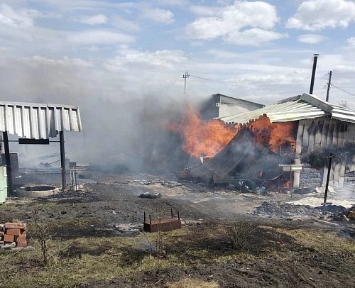 В СНТ "Романтик" под Тюменью огонь повредил дачи и перешел на траву