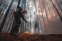 В Тюменской области двух охотников судят за поджог леса