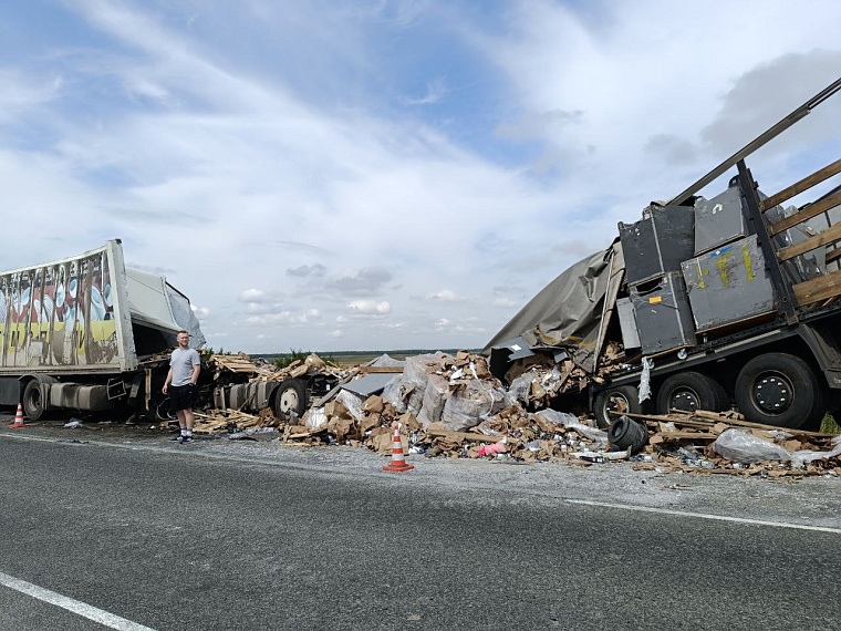 В Бердюжском районе столкнулись две фуры: оба водителя погибли