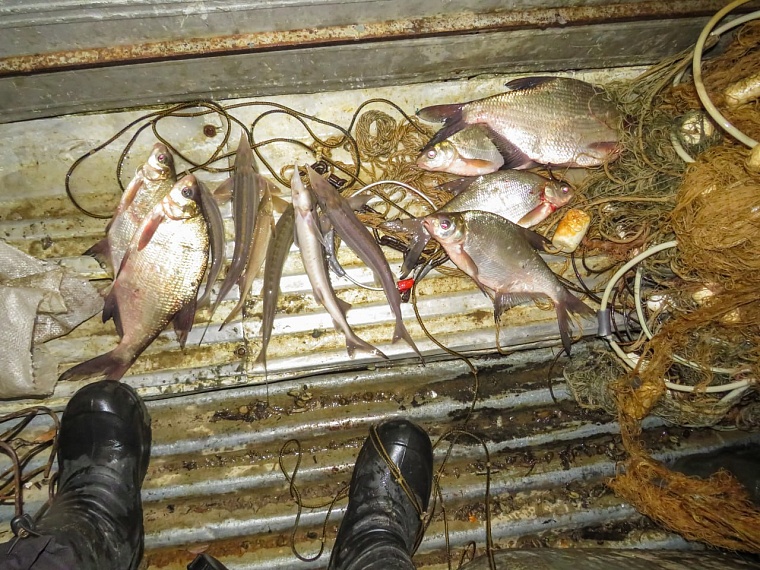 В Тобольском районе браконьер порыбачил на полмиллиона рублей