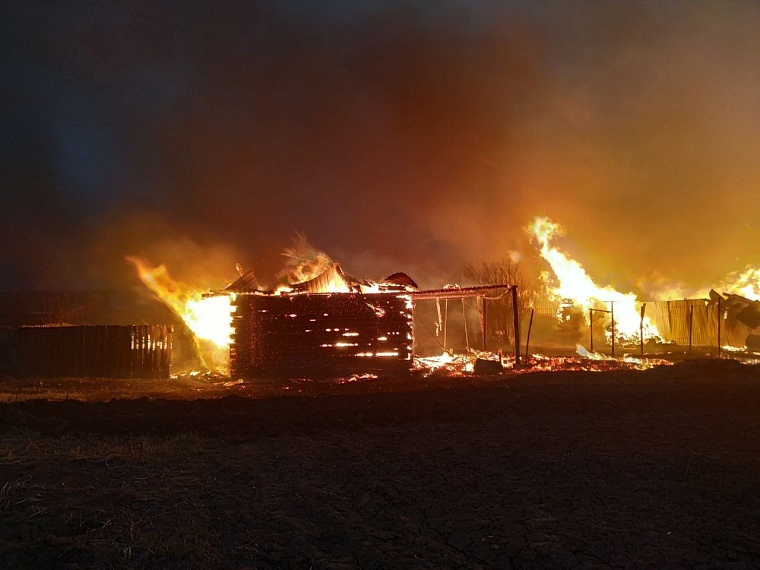 Пожар в Успенке: к тушению привлечено более 200 человек, ситуация на контроле