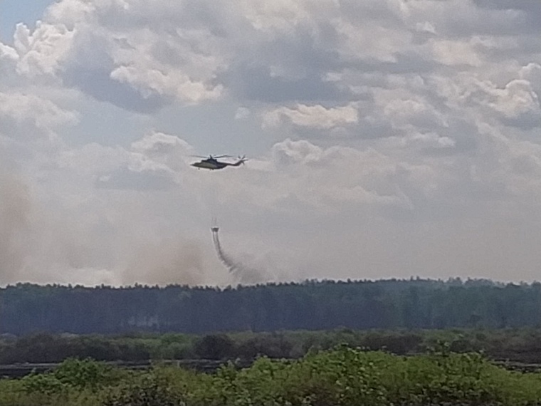 Двое огнеборцев лесоохраны пострадали от пожара в Тюменской области