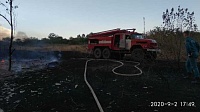 В лесных пожарах в Ростовской области погибла 65-летняя женщина