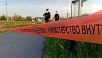 В Волгоградской области жена расчленила тело мужа - голова до сих пор не найдена