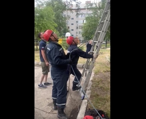 В Тюмени спасатели сняли с дерева застрявшего мальчика