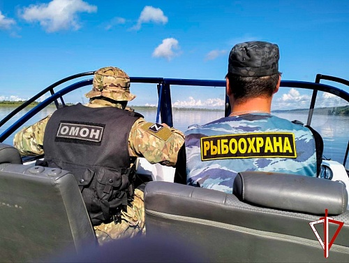 За вылов осетра тобольскому браконьеру дали четыре года колонии