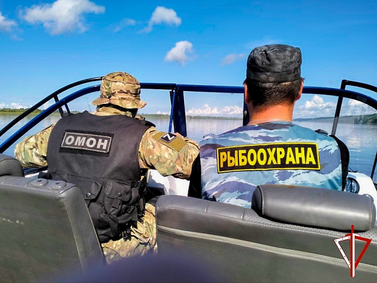 За вылов осетра тобольскому браконьеру дали четыре года колонии