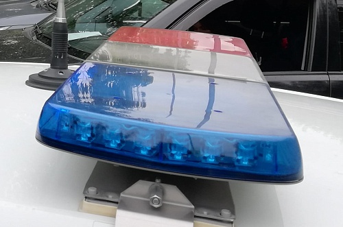 В Тюменском районе селянин угнал «Хонду» и въехал в столб