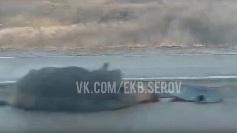 На Московском тракте в районе Перевалово сбили четырех кабанов