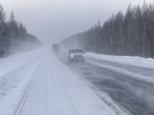 На трассе под Тюменью сотрудник ОЗОНа помог найти пропавшего подростка