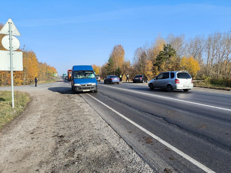 Тюменка с восемью собаками в машине насмерть сбила пенсионера на «зебре»