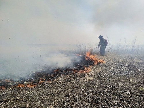 В Тюменской области за сутки произошло рекордное количество пожаров