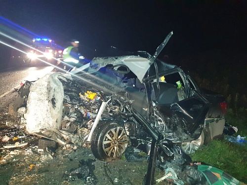 Кабан выбежал на дорогу: виновнику ДТП, погубившему четырех человек, вынесли приговор