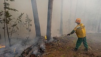 Ландшафтный пожар в Тюменском районе удалось потушить