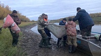На Ямале двух мужчин нашли в охотничьей избушке без сознания
