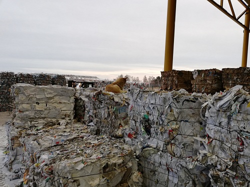 На Велижанском тракте природный пожар добрался до полигона ТБО