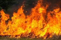 Смог от лесных пожаров накрывает города Ямала