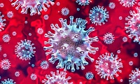 Жителю Югры за фейковые сообщения о коронавирусе грозит крупный штраф